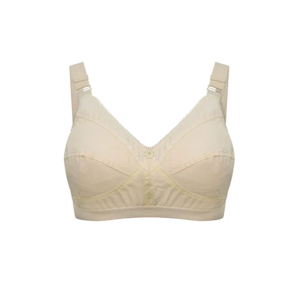Original Guddi Premium Bra