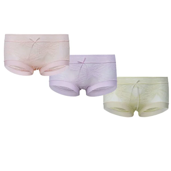 China Premium Full Net Pantie