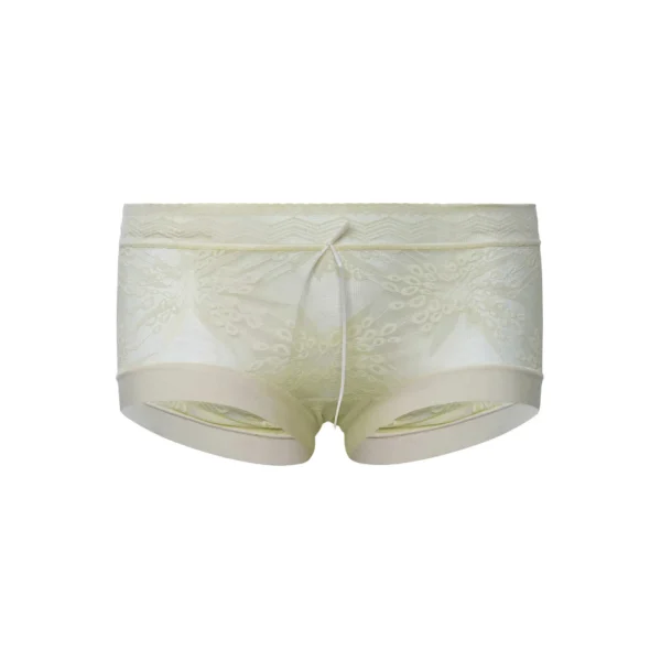 China Fansi Full Net Pantie