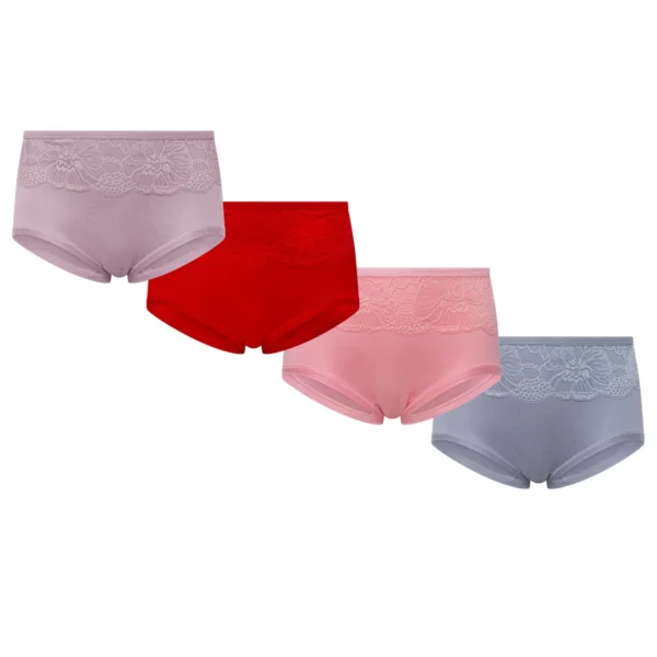 Stylish Soft Lace Pantie - Image 3